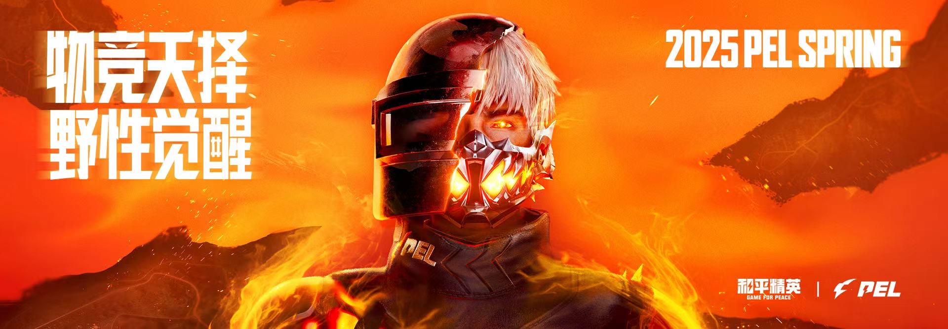 如何评估和平精英辅助工具的效果？